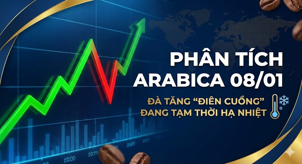 Phân tích Arabica 08/01: Đà tăng 